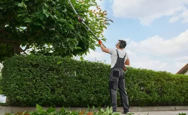 Tuinman In Barneveld