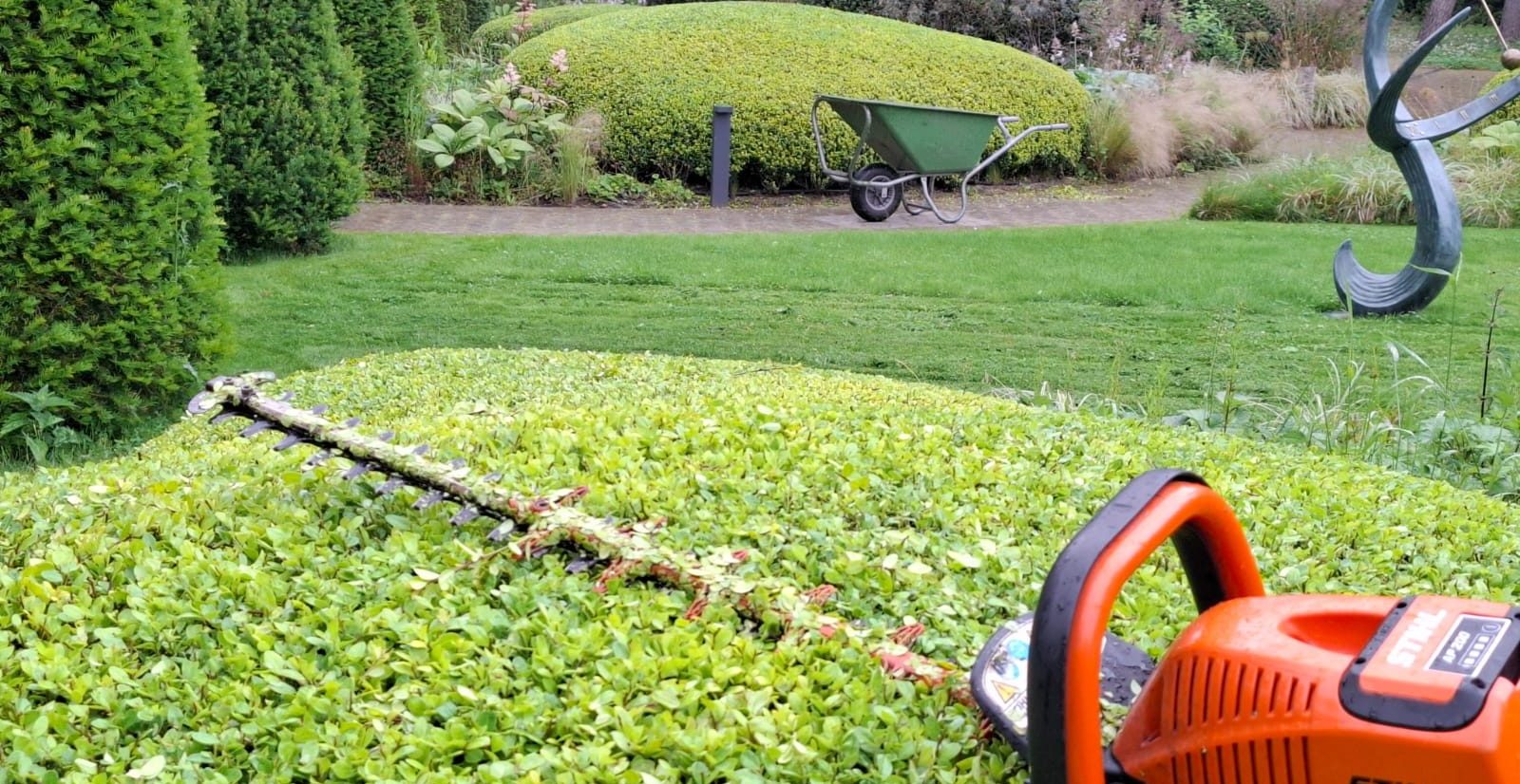 Snoeien Tuin Wanneer